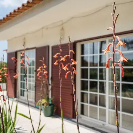 公寓 3 Bedroom Rural Vale De Telha 阿尔热祖尔